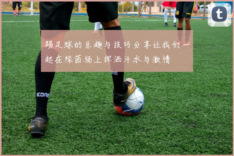 踢足球的乐趣与技巧分享让我们一起在绿茵场上挥洒汗水与激情