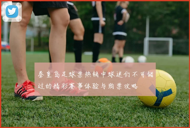 秦皇岛足球票热销中球迷们不可错过的精彩赛事体验与购票攻略