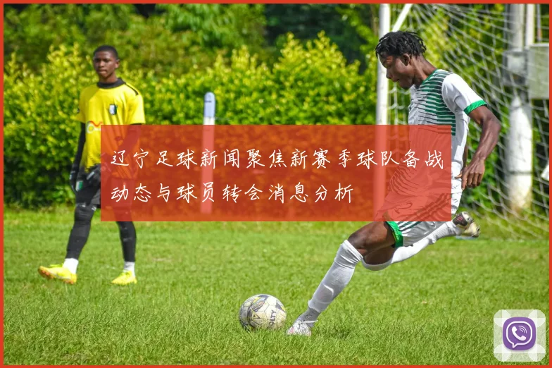 辽宁足球新闻聚焦新赛季球队备战动态与球员转会消息分析