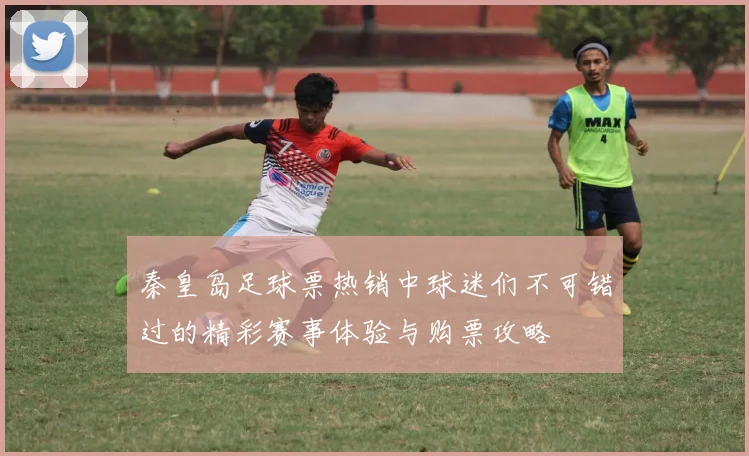 秦皇岛足球票热销中球迷们不可错过的精彩赛事体验与购票攻略