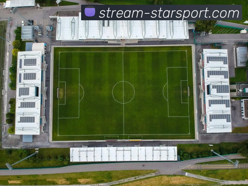 官网入口平台生态图